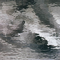 Pale Gray Waterglass