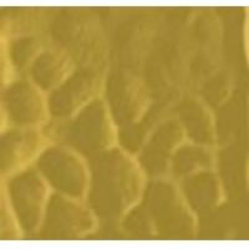 Regency Gold (Light Amber) English Muffle 4917