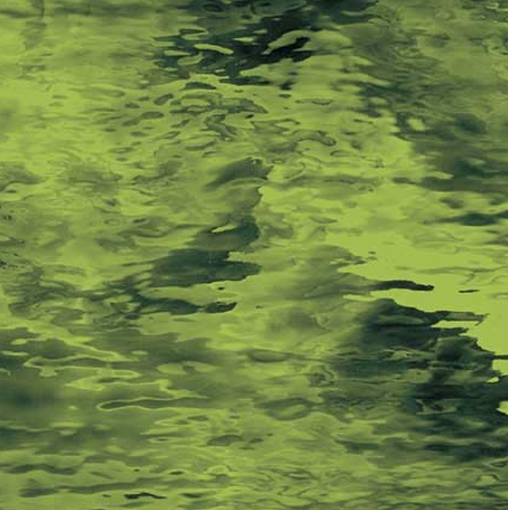 Olive Waterglass