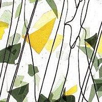 Summer Fracture Streamer