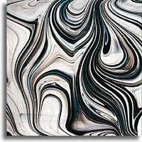 Black White Clear Baroque