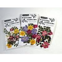 Kaleidoscope Flowers