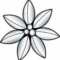 Poinsettia Bevel Cluster