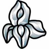 Orchid Bevel Cluster