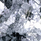 Clear Artique