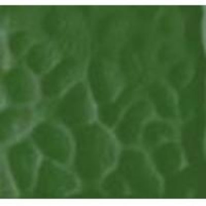 Asparagus (Sage Green) English Muffle 4907