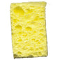 Grinder Sponge 2pk