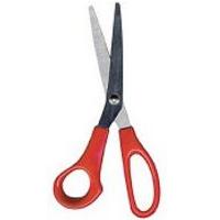 Foil Shears