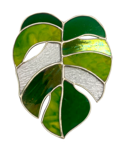 Stained Glass Monstera Leaf Kit