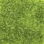 Moss Green Medium Glass Frit 8.5oz