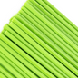 Amazon Green Opal Glass Rod